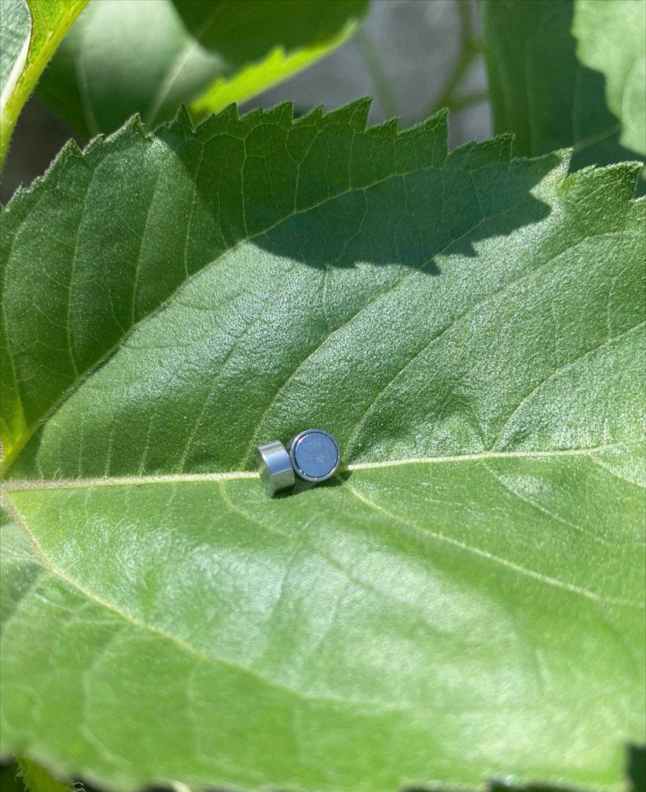 Magnetic Stud Earrings