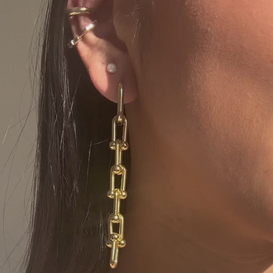 "Dysfunctional" Horseshoe Chain Link Earrings